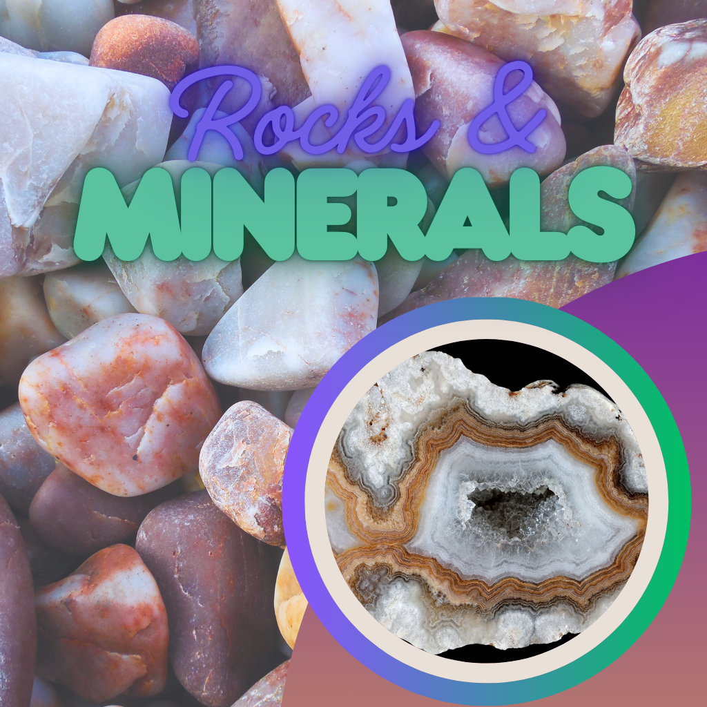 Rocks & Minerals